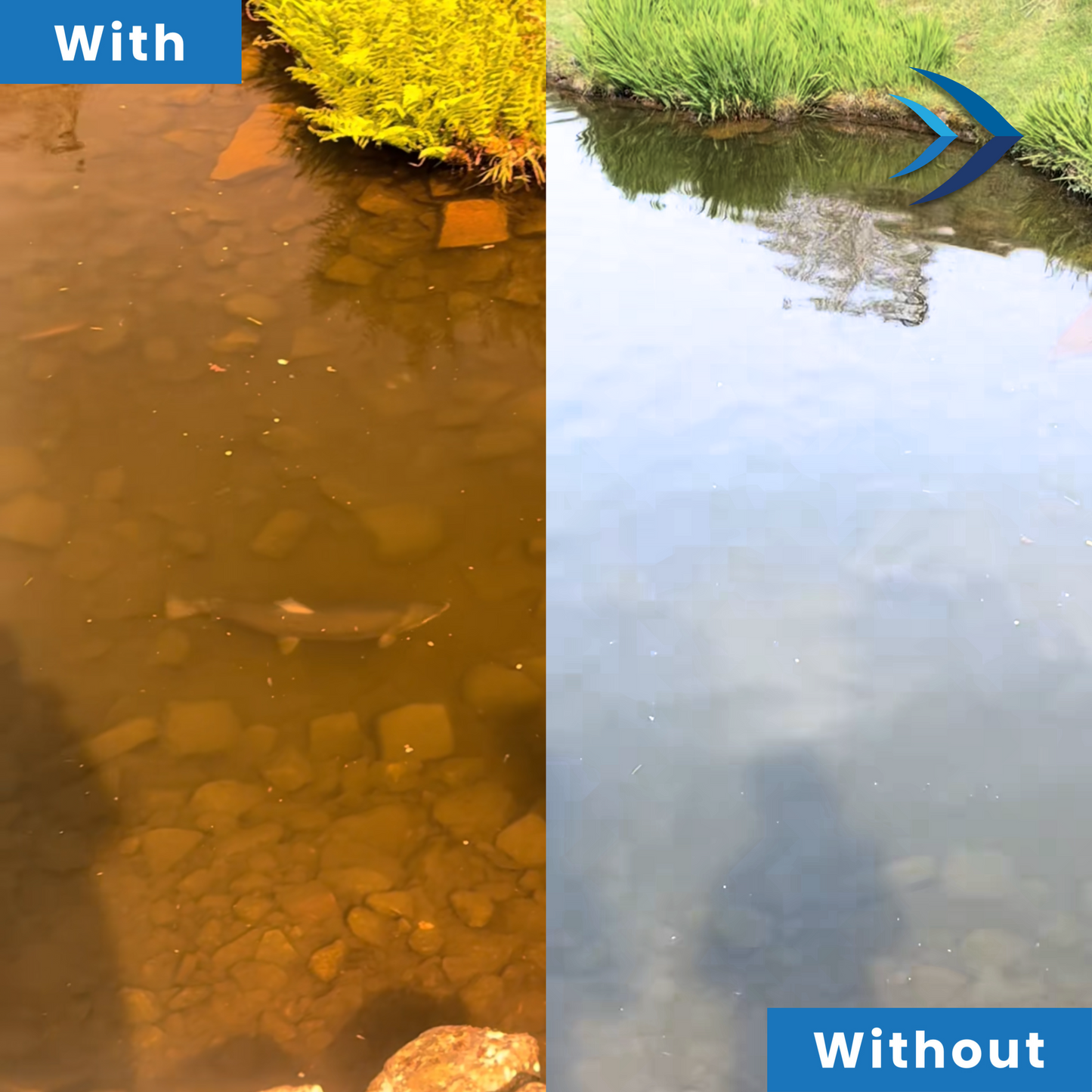 DeviNuman Fishing Glasses